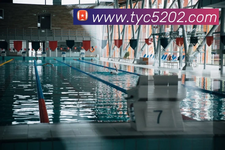 App Interface Preview