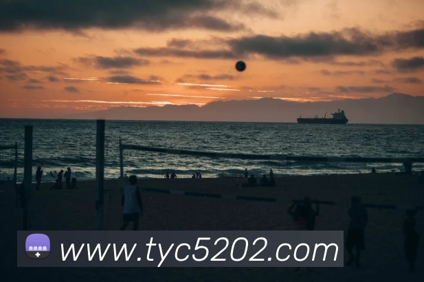 太阳城官方网站APP 封面图